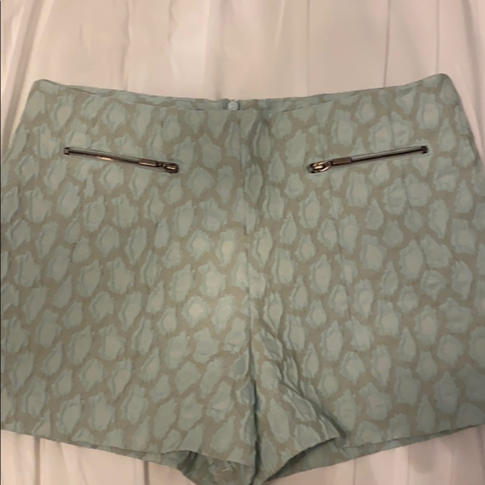 Zara Texture Jaquard Shorts